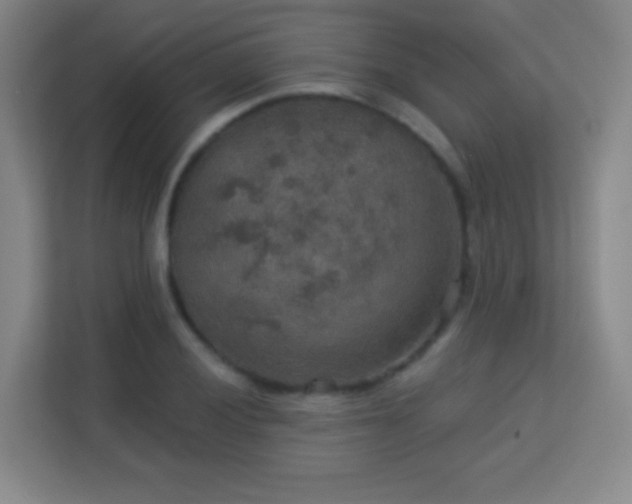 X0000113181028200909111050
