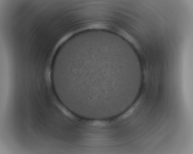 X0000113181029200909111050