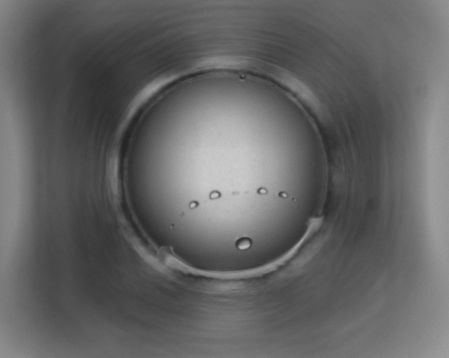 X0000113181030200909111050