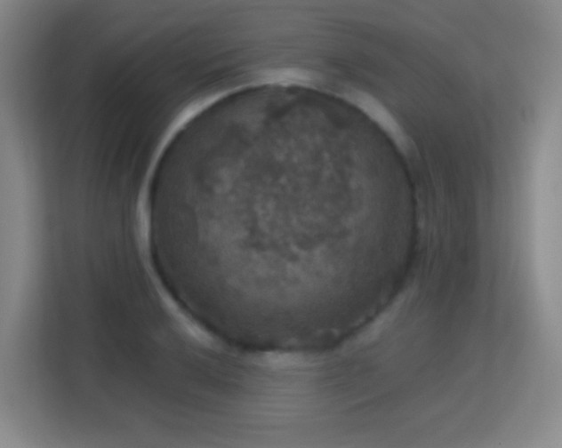 X0000113181032200909111050