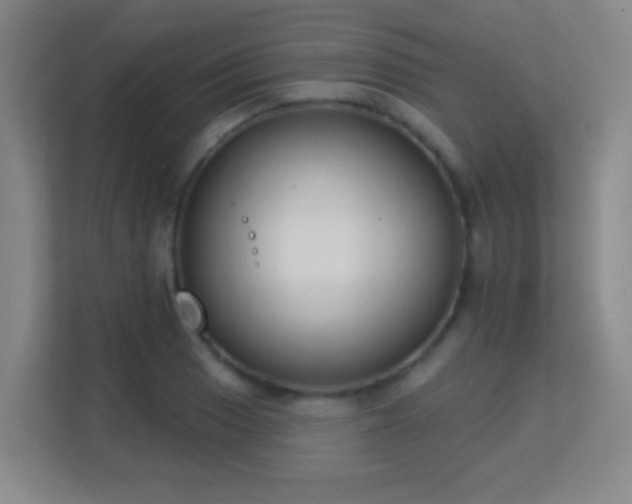 X0000113181033200909111050