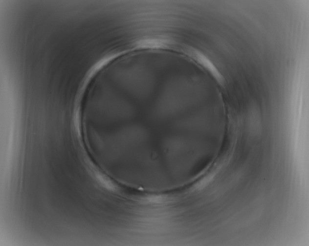 X0000113181035200909111050