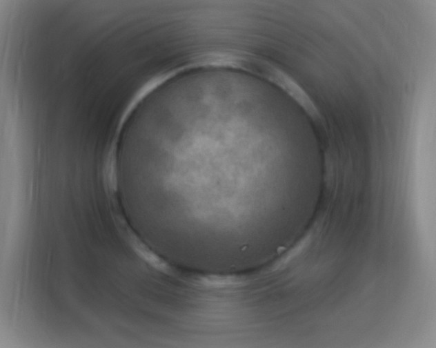X0000113181036200909111050