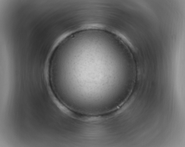 X0000113181038200909111050
