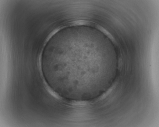 X0000113181039200909111050