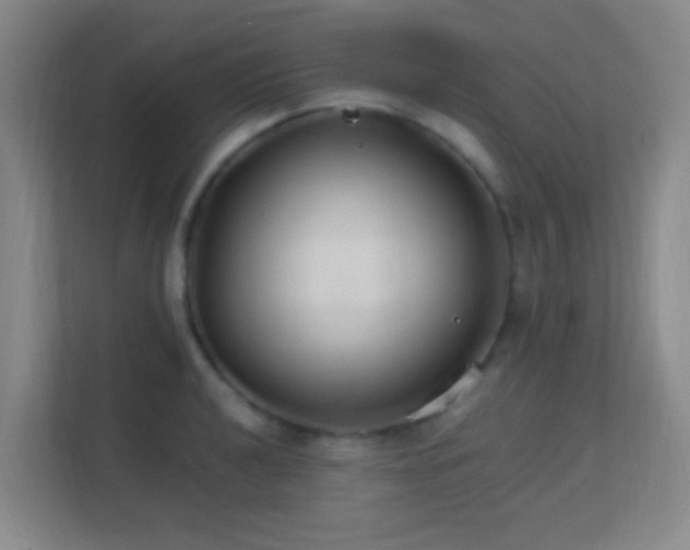 X0000113181040200909111050
