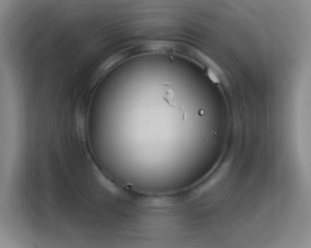 X0000113181041200909111050