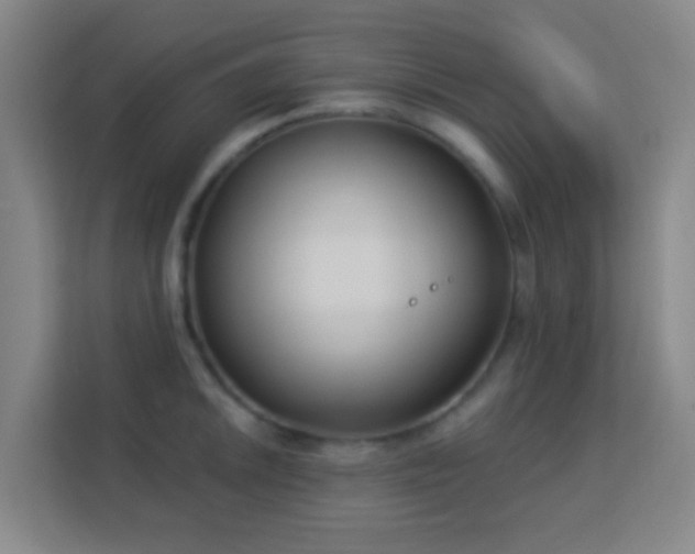 X0000113181046200909111050