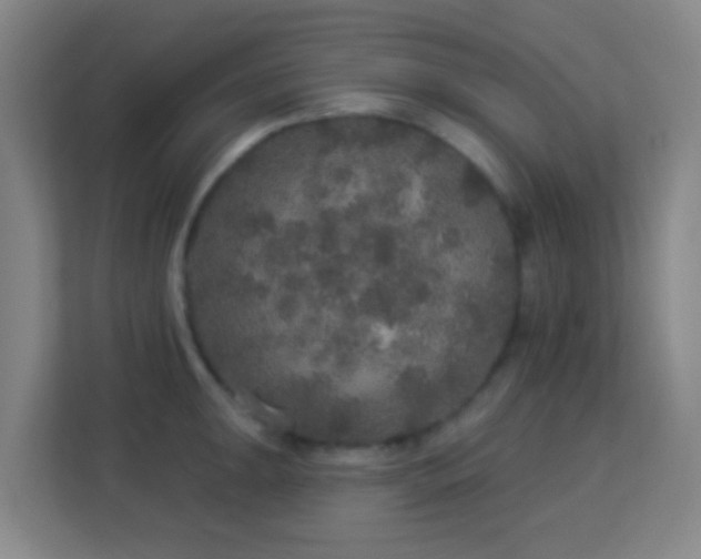 X0000113181047200909111050