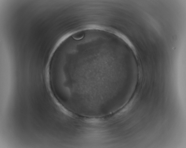 X0000113181048200909111050