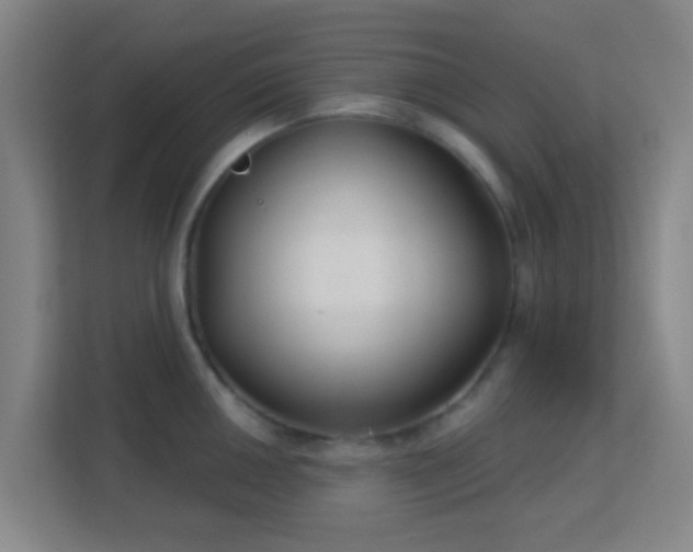 X0000113181050200909111050