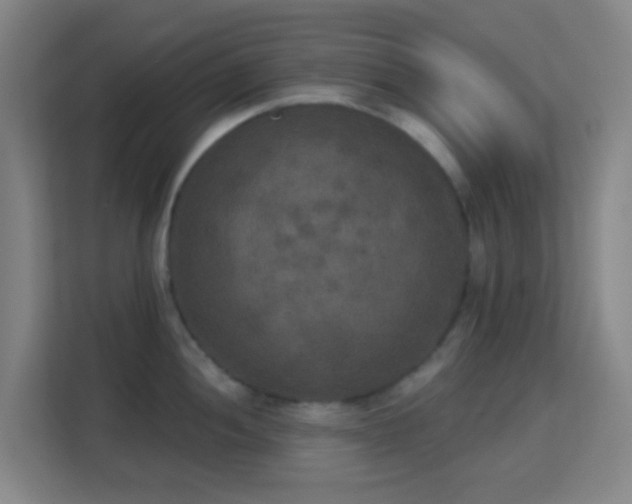 X0000113181052200909111050