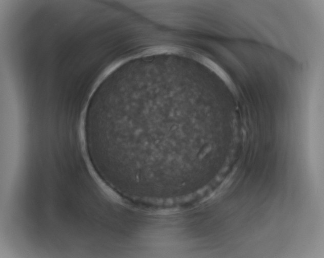 X0000113181055200909111050
