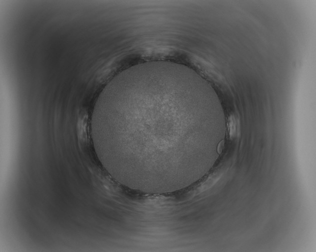 X0000113181059200909111050