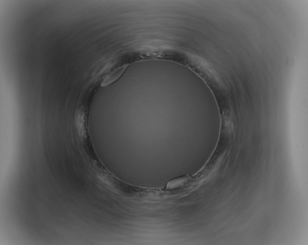 X0000113181060200909111050