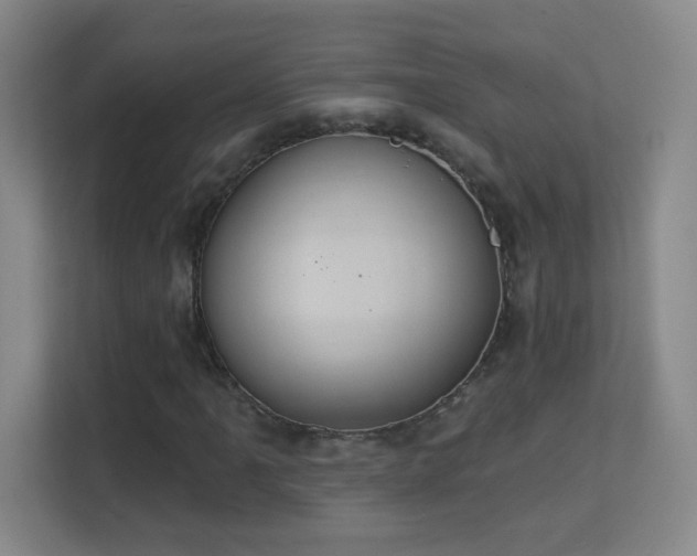X0000113181061200909111050