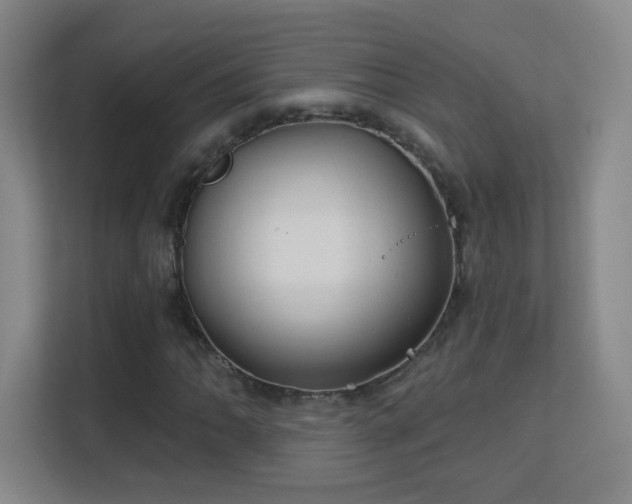 X0000113181062200909111050