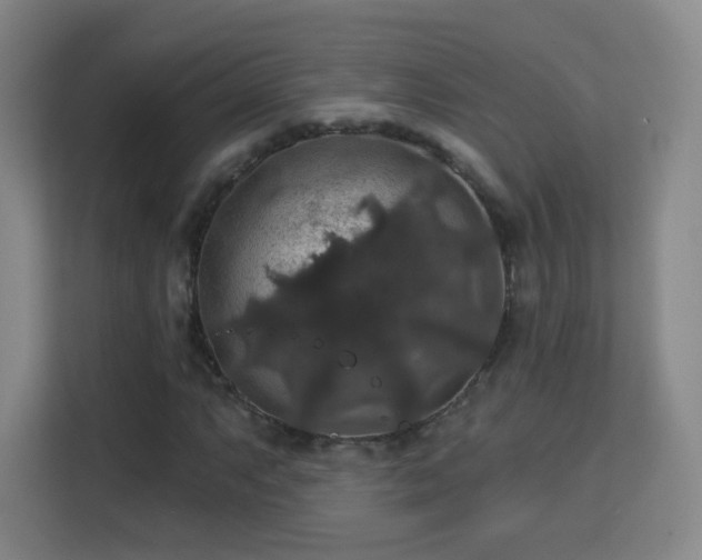 X0000113181063200909111050