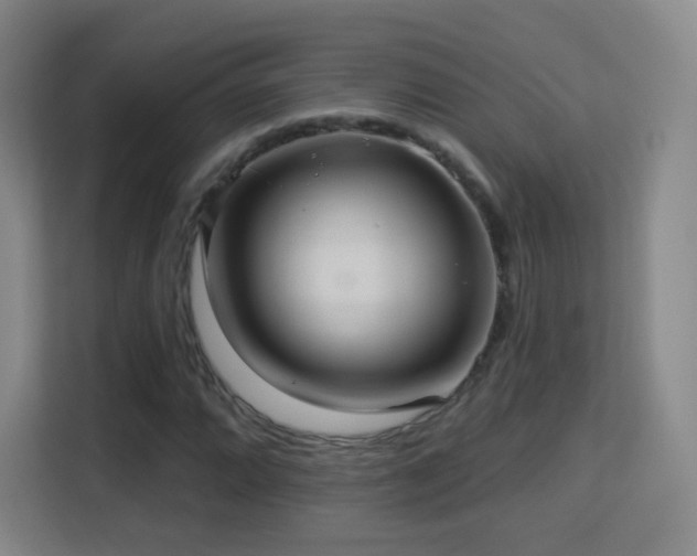 X0000113181064200909111050