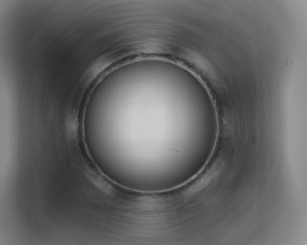 X0000113181065200909111050