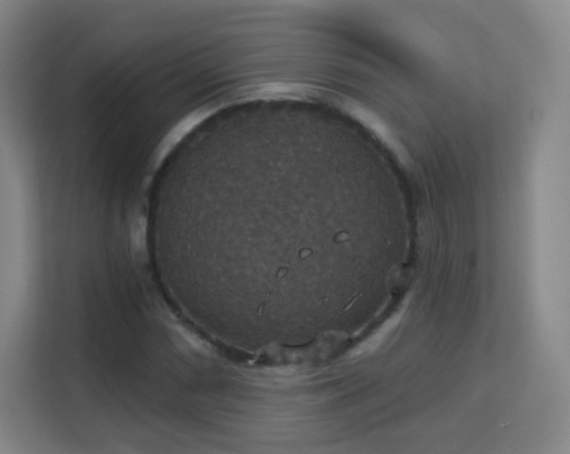 X0000113181066200909111050