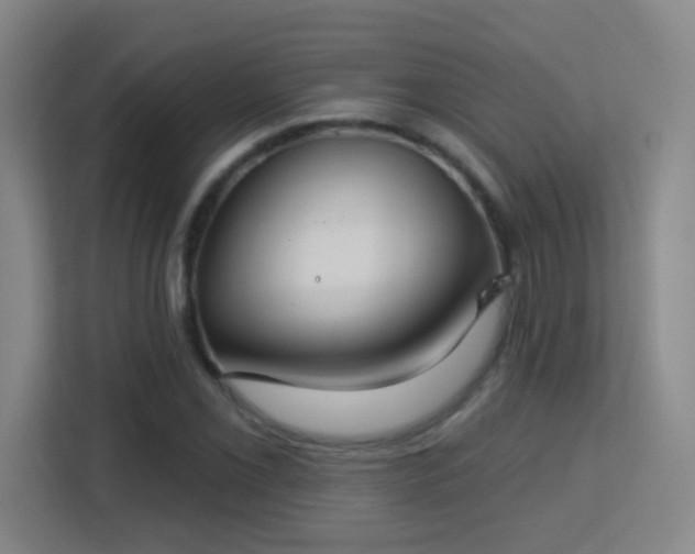 X0000113181069200909111050