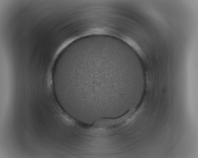 X0000113181070200909111050