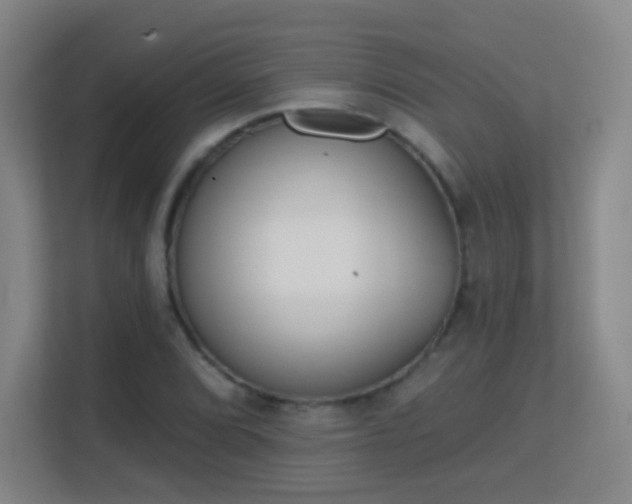 X0000113181072200909111050
