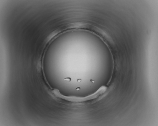 X0000113181073200909111050