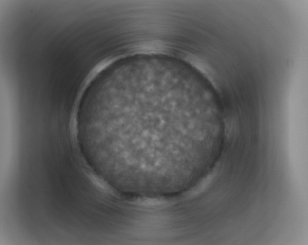 X0000113181074200909111050