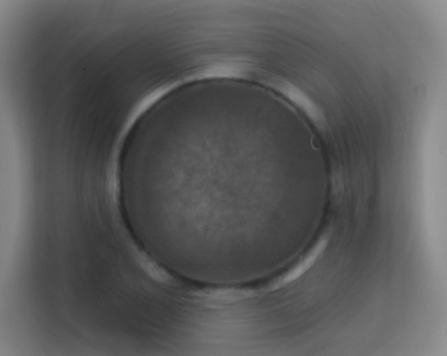X0000113181077200909111050