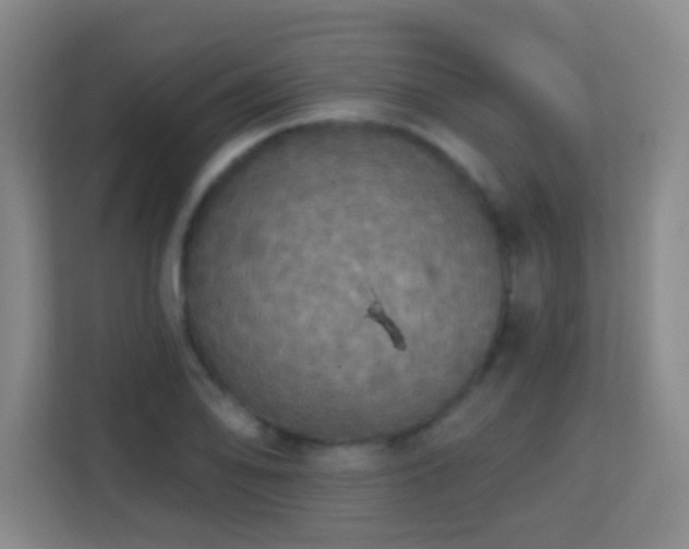X0000113181078200909111050