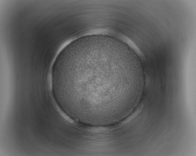 X0000113181079200909111050
