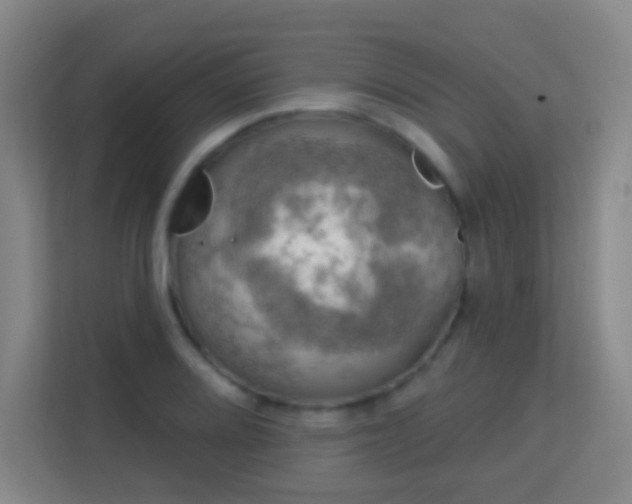 X0000113181080200909111050
