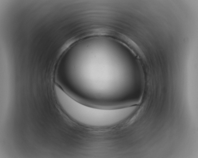 X0000113181081200909111050