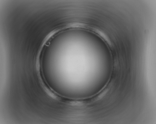 X0000113181082200909111050