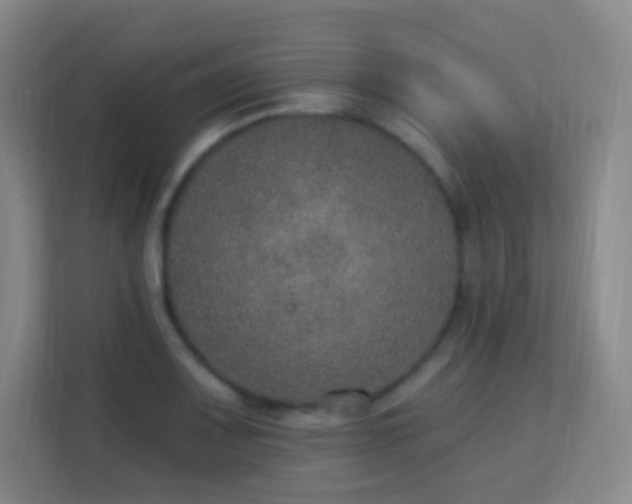 X0000113181083200909111050
