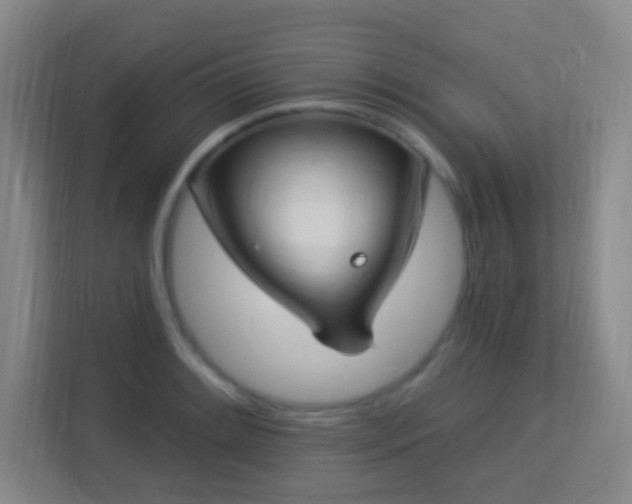 X0000113181084200909111050