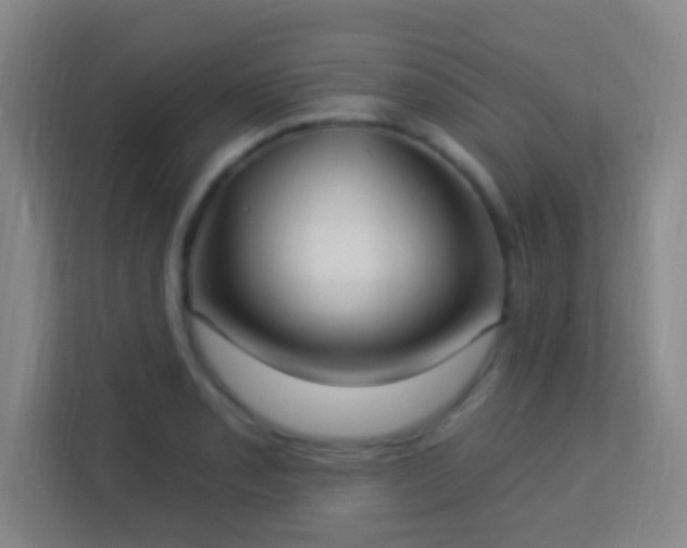 X0000113181085200909111050