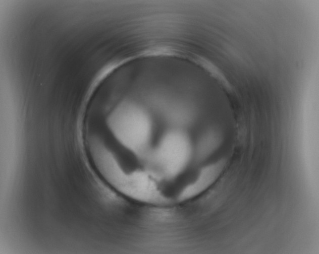 X0000113181086200909111050