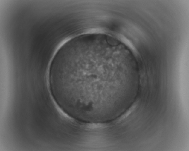 X0000113181087200909111049