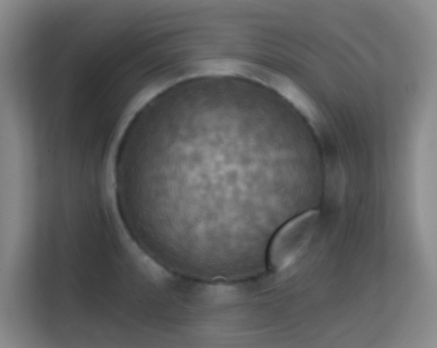 X0000113181088200909111049