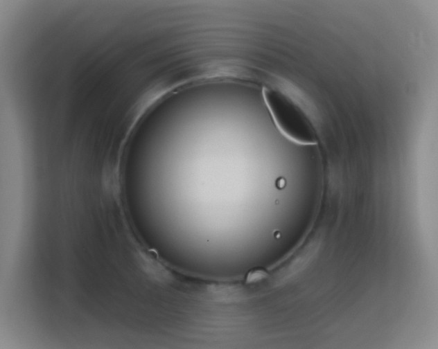 X0000113181089200909111049