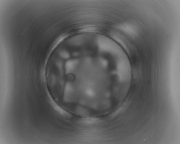 X0000113181090200909111049