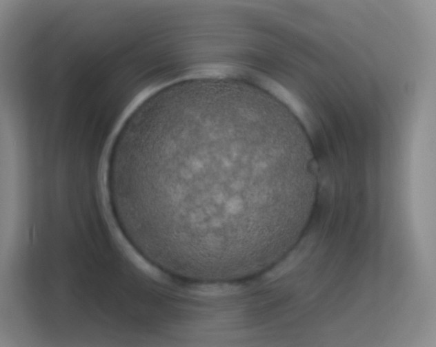 X0000113181091200909111049