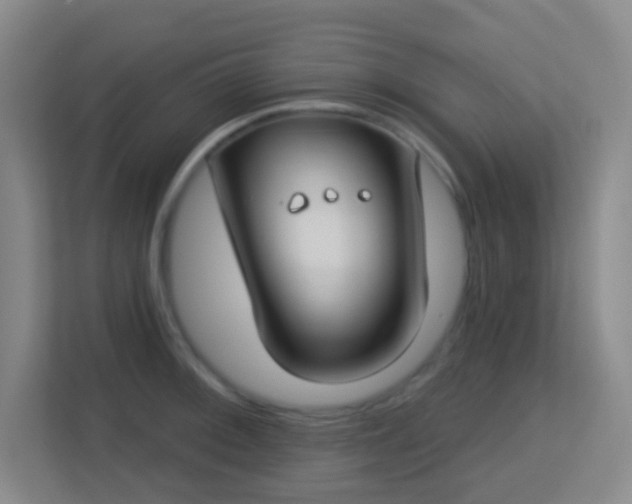X0000113181092200909111049