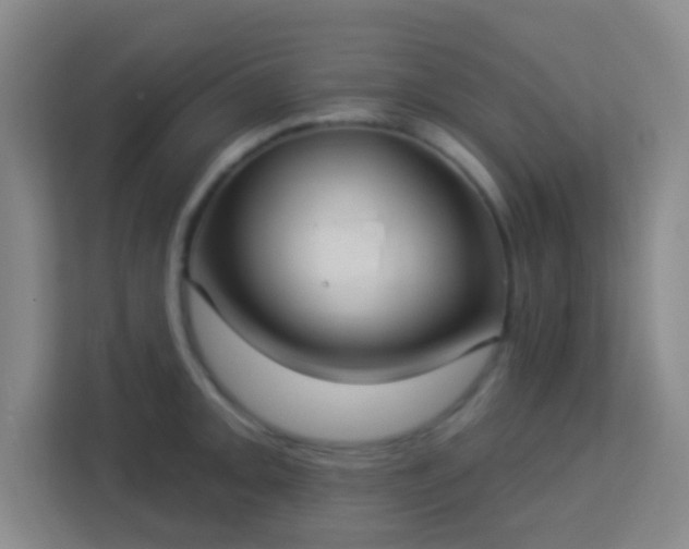 X0000113181093200909111049