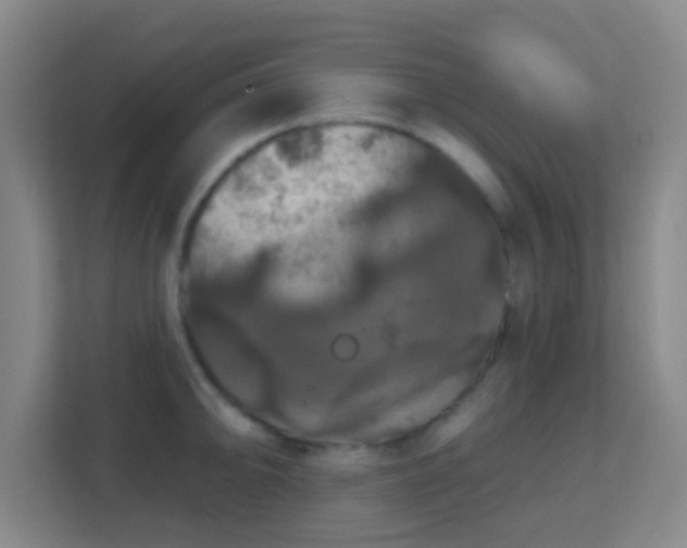 X0000113181094200909111049