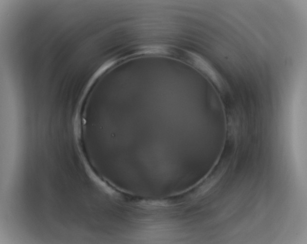 X0000113181095200909111049