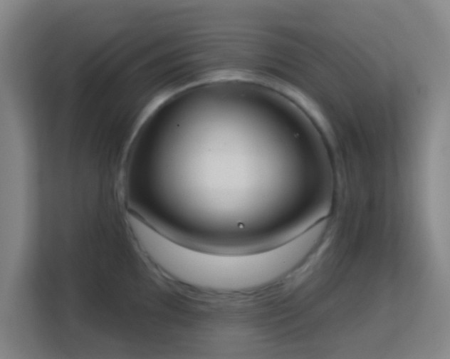 X0000113181097200909111049